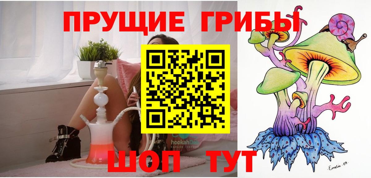 Псилоцибиновые грибы прущие грибы  купить наркотик  Электросталь  Вход с VPN 